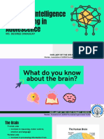 The Brain PDF