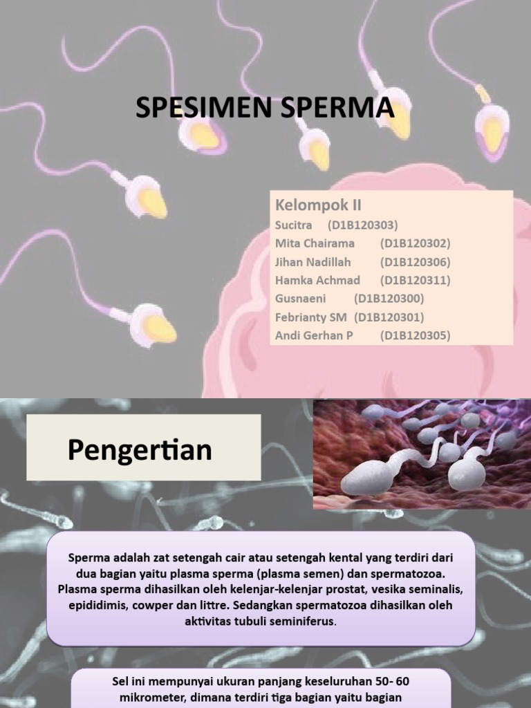 Tukli külotli ayollar