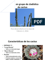 Cactus PDF