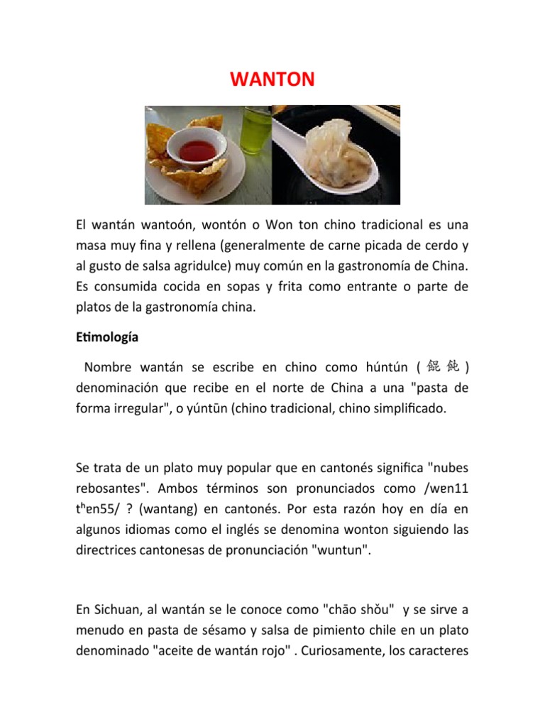 Significado y tipos de wantán | PDF
