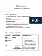 Echilibru Dinamic - Examenul Mersului, Tipuri de Mers