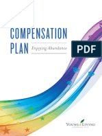 Compensation Plan: Enjoying Abundance