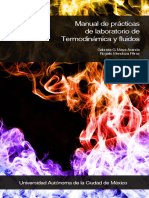 TERMOFLUcompletoWEB PDF