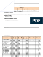 06-Informe-Avances TERMINADO