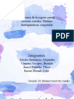 Anatomia de La Region Crural, Hernias Crurales y Diafragmaticas