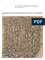 'A deep dive into the brain, hand-drawn by the father of neuroscience.' Roberta Smith.pdf