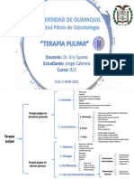 Cabrera Burgos Jorge Andrés - Terapia Pulpar PDF