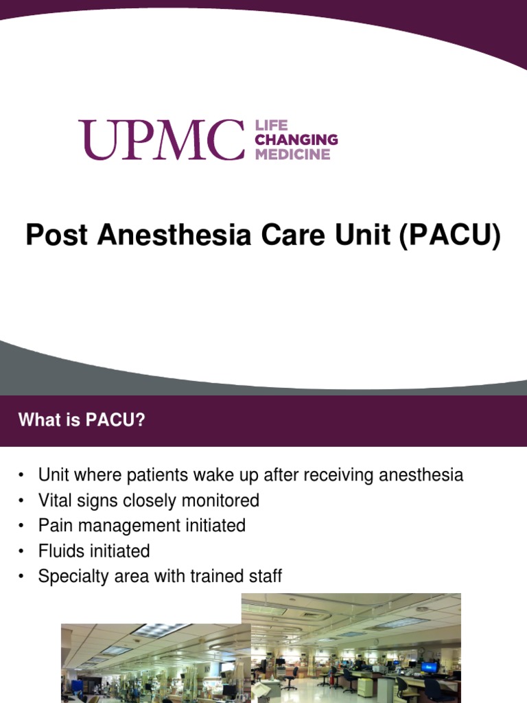 Understanding the PACU Experience | PDF | Wellness | Science & Mathematics