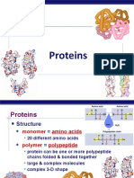 Proteins: AP Biology
