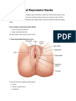 Alat Reproduksi Wanita Dan Fungsinya Lengkap Gambar 1819