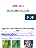 Chapter - 1: Nutrition in Plants