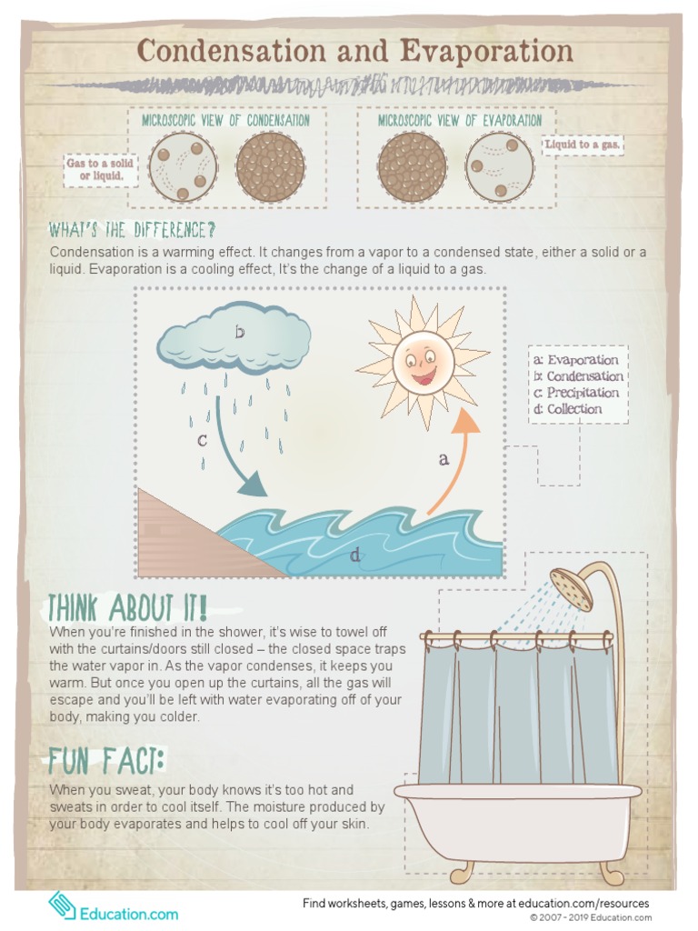 Think About It !: Condensation and Evaporation | PDF | Condensation ...
