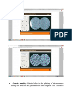 Genetic Stability-Mitosis Helps in The Splitting of Chromosomes