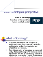 1.the Sociological Perspective: Sociology Is The Scientific Study of Human Society & Social Behavior