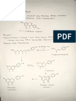 Biosintesis flavonoid_KBAH