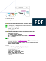 Seromarker Hepatitis B