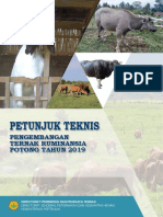 Petunjuk Teknis Ruminansia Potong Tahun 2019 PDF