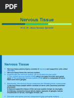 Neuron Structure and Classification Overview | PDF | Neuron | Axon