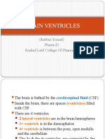 Brain Ventricles: (Rabbia Yousaf) Pharm-D Rashid Latif College of Pharmacy