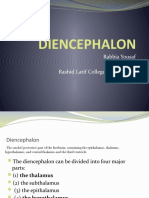 Diencephalon: Rabbia Yousaf (Pharm-D) Rashid Latif College of Pharmacy