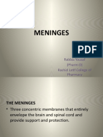 Meninges: Rabbia Yousaf (Pharm-D) Rashid Latif College of Pharmacy