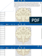 neuro pathology.pdf