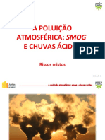 Poluicao Atmosferica Smog