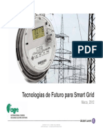 Cigre SG PDF