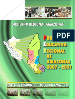 per-amazonas.pdf
