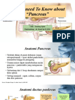 All You Need To Know About Pancreas