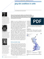 [2012] Emerging skin conditions in cattle