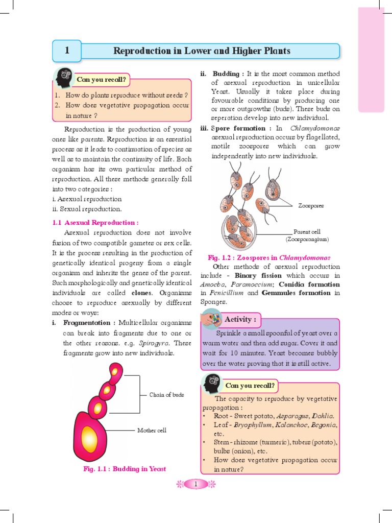 Biology Pdf Fertilisation Pollination