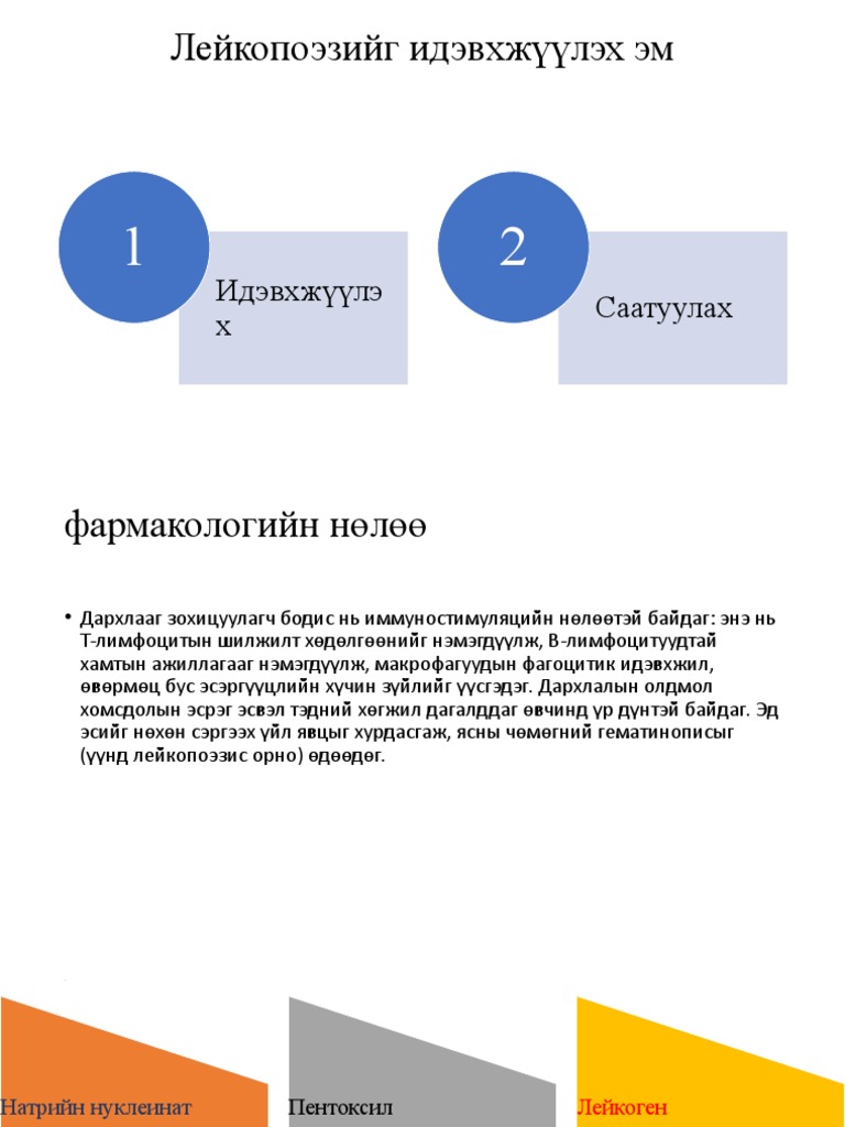 Presentation 5 | PDF