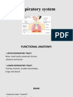 10.anatomy of Respiratory System