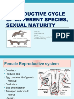 Topic:: Reproductive Cycle of Different Species, Sexual Maturity