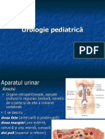 Curs 6 part 1 - curs6-urologie.ppt