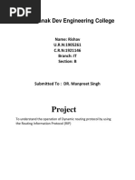 DCCN Project PDF