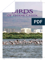 Birds of Thane Creek PDF