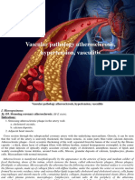 Vascular Pathology Atherosclerosis, Hypertension, Vasculitis - 0