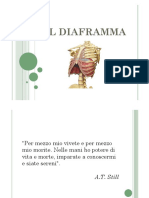 Il Diaframma