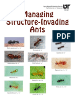 Managing Structure-Invading Ants.pdf