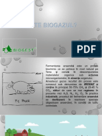 Ce Este Biogazul