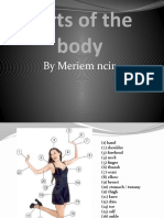 Parts of The Body: by Meriem Ncir