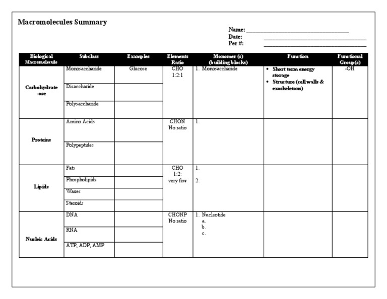 Macromolecules Overview and Chart | PDF