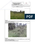 1.4 IMPLEMENTACION Y ESTABLECIMIENTO DEL CULTIVO DE LA MORA