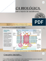 2SEMINARIO - Transporte 2020 (Leda Urli) .PPTX AL (1) .PPTX OK (1) .PPTX FINAL