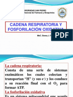 Cadena Resp y Fosforilación Oxid