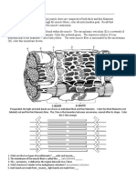 Ia Muscle Contraction Worksheet