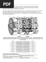 Ia Muscle Contraction Worksheet