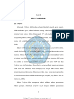 Bab Ii PDF